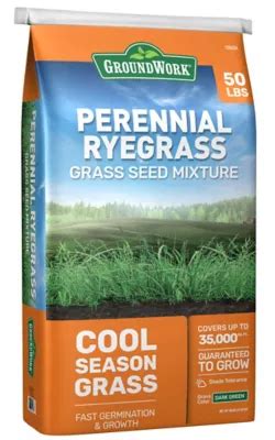 Good summer color retention and improved rust resistance. . Rye grass seed tractor supply